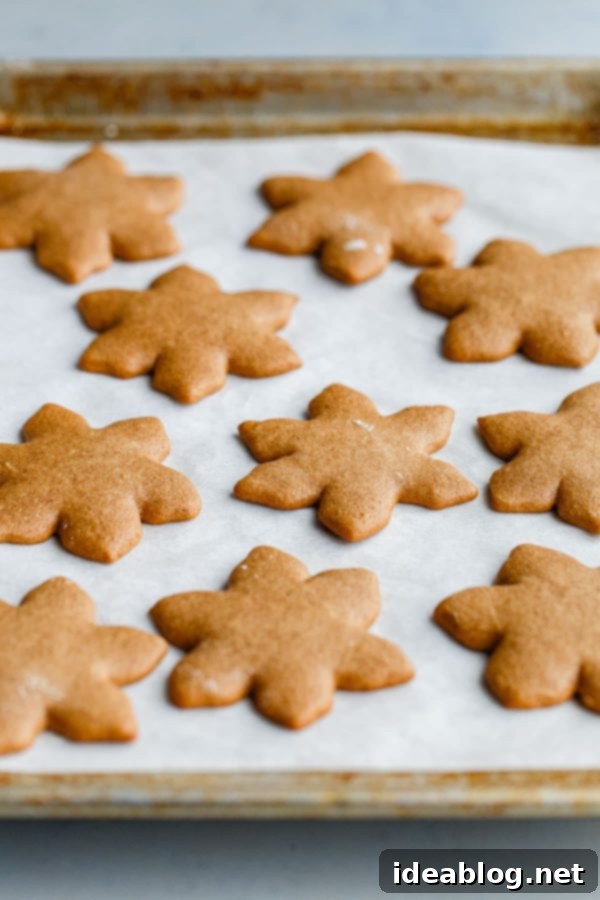 German Lebkuchen Cookies - traditional glazed German Christmas cookies made with warming spices, for a festive treat to enjoy around the holiday season! Lebkuchen on Baking Sheet