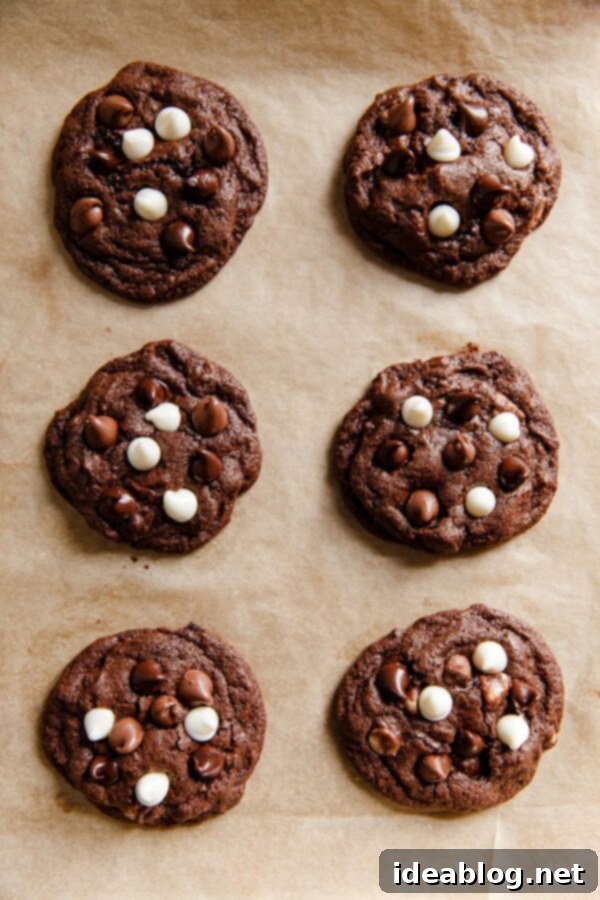 Decadent Triple Chip Chocolate Cookies 6 Freshly baked triple chocolate cookies on parchment paper, still warm from the oven