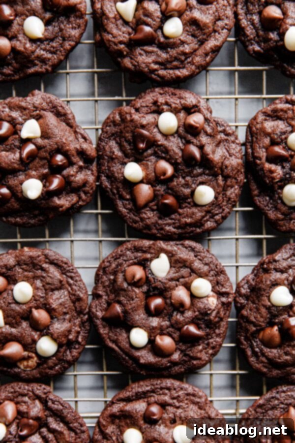 Triple Chocolate Cookies - Chewy triple chocolate cookies featuring semisweet, milk, and white chocolate chips. This chocolate cookie recipe is a chocolate lover's dream. #recipe #cookies #chocolate #abeautifulplate #desserts A close-up of a plate of delicious triple chocolate chip cookies, ready to be enjoyed