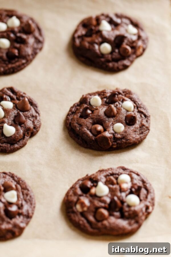 Triple Chocolate Cookies - Chewy triple chocolate cookies featuring semisweet, milk, and white chocolate chips. This chocolate cookie recipe is a chocolate lover's dream. #recipe #cookies #chocolate #abeautifulplate #desserts Freshly baked chocolate cookies cooling on parchment paper on a baking sheet