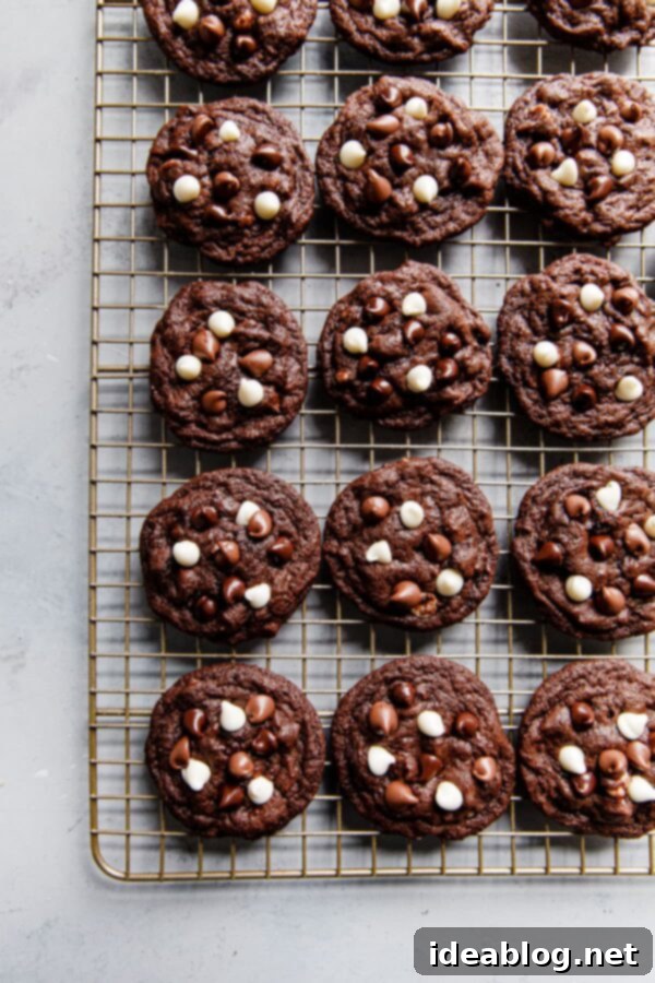 Triple Chocolate Cookies - Chewy triple chocolate cookies featuring semisweet, milk, and white chocolate chips. This chocolate cookie recipe is a chocolate lover's dream. #recipe #cookies #chocolate #abeautifulplate #desserts Baked Triple Chocolate Cookies cooling on a wire rack, showing off their melted chocolate chips
