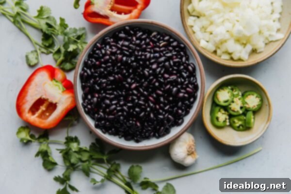 Simple Instant Pot Black Beans - pressure cooker black beans prepared with dried black beans, onion, bell pepper, and spices. These hearty, flavorful, and budget friendly black beans will quickly become a meal planning staple.  #abeautifulplate #vegetarian #blackbeans #budgetfriendlymeals #legumes #glutenfree #dairyfree #vegan Soaked black beans alongside fresh bell pepper, cilantro, onion, and sliced jalapeño, prepared for cooking.