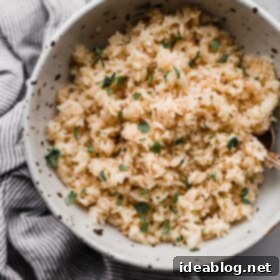 Fragrant Basmati Pilaf 4 Basmati Rice Pilaf in Speckled Bowl, garnished with herbs