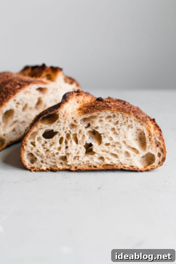 Artisan Sourdough Bread Recipe - my favorite sourdough bread recipe. This naturally leavened bread is made with high protein bread flour and stone ground whole wheat flour. High in hydration, this recipe yields an airy, tender, and open crumb bread. #sourdoughbread #recipe #breadrecipe #artisanbread #abeautifulplate Open Crumb in Artisan Sourdough Loaf