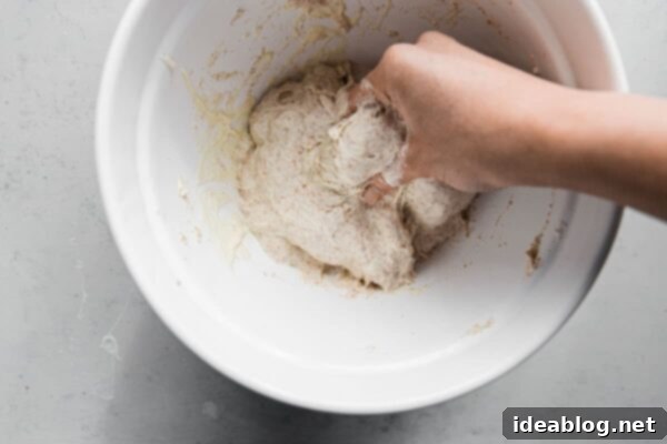 Artisan Sourdough Bread Recipe - my favorite sourdough bread recipe. This naturally leavened bread is made with high protein bread flour and stone ground whole wheat flour. High in hydration, this recipe yields an airy, tender, and open crumb bread. #sourdoughbread #recipe #breadrecipe #artisanbread #abeautifulplate Mixing Sourdough Starter into Autolyse