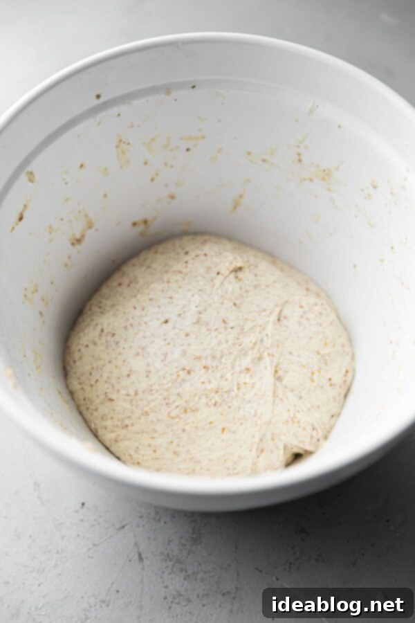 Crafting Your Perfect Sourdough Loaf 9 Sourdough Dough After Stretch and Fold