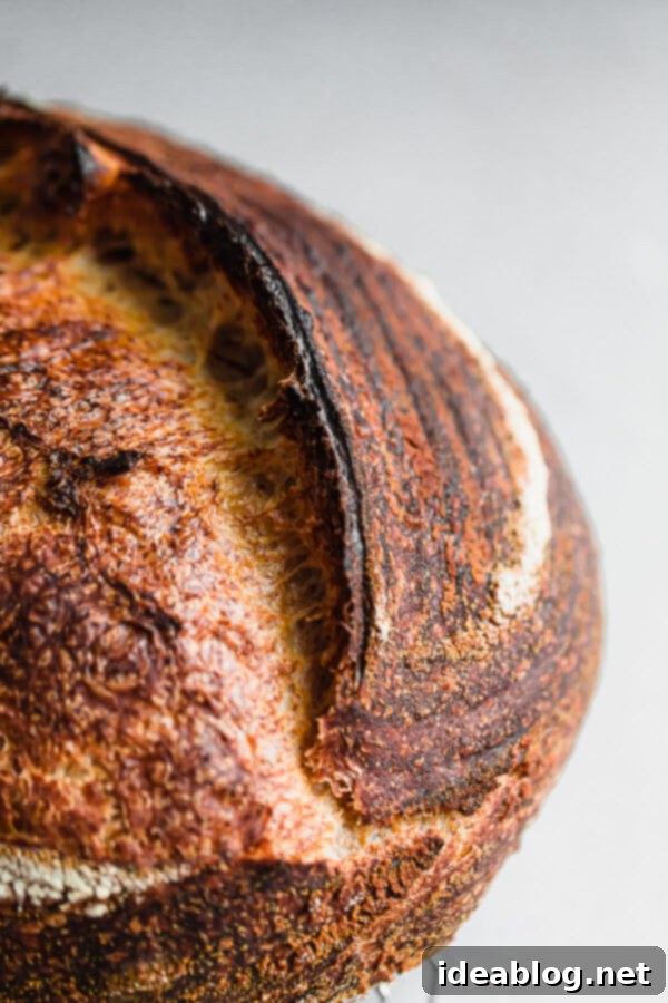 Crafting Your Perfect Sourdough Loaf 11 Sourdough Bread Ear