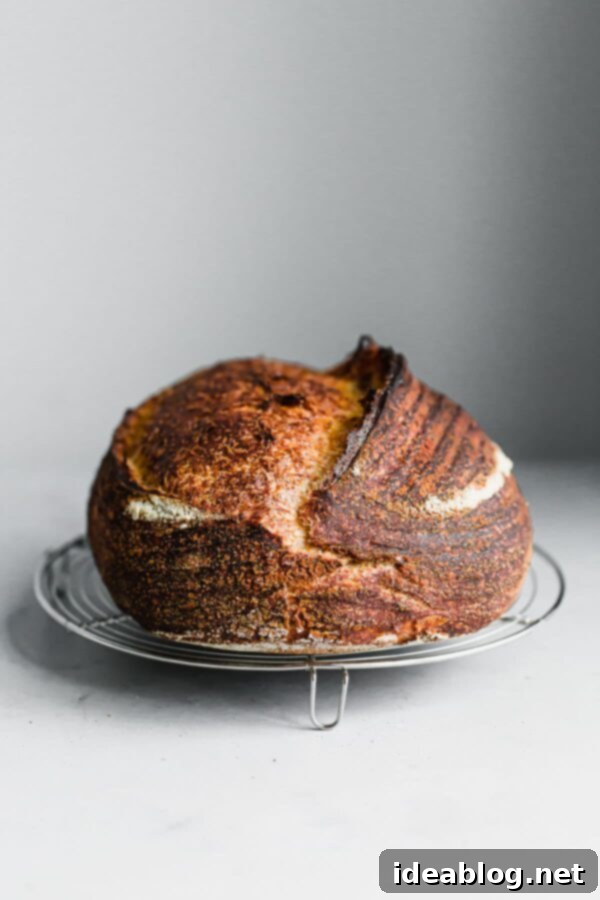 Crafting Your Perfect Sourdough Loaf 12 Artisan Sourdough Batard on Cooling Rack