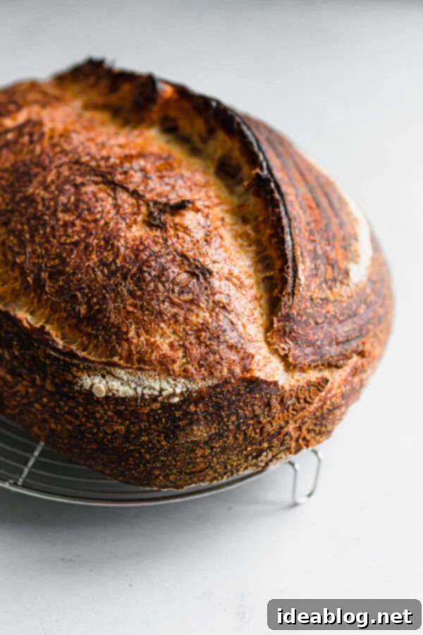 Artisan Sourdough Bread Recipe - my favorite sourdough bread recipe. This naturally leavened bread is made with high protein bread flour and stone ground whole wheat flour. High in hydration, this recipe yields an airy, tender, and open crumb bread. #sourdoughbread #recipe #breadrecipe #artisanbread #abeautifulplate Artisan Sourdough Loaf