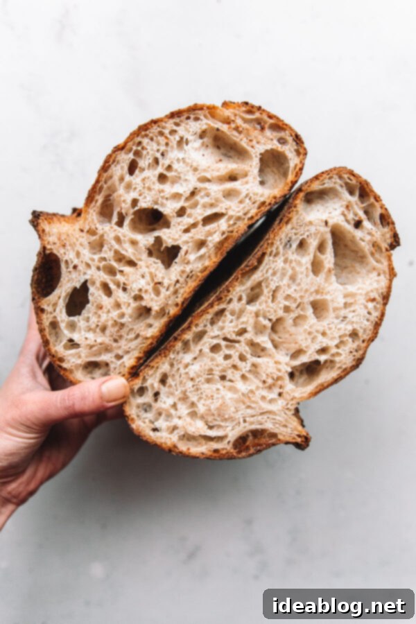 Crafting Your Perfect Sourdough Loaf 13 Open Crumb in High Hydration Sourdough Bread