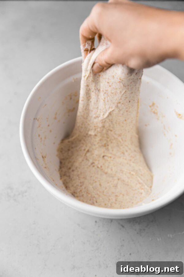Crafting Your Perfect Sourdough Loaf 15 Stretch and Fold Sourdough Bread Dough