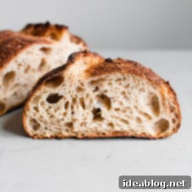 Crafting Your Perfect Sourdough Loaf 16 Open Crumb in Artisan Sourdough Loaf