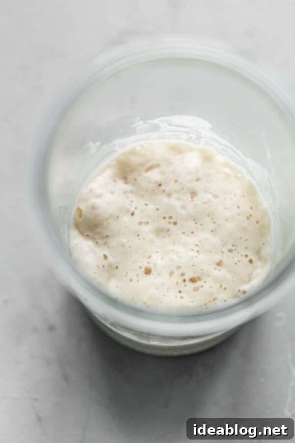 Artisan Sourdough Bread Recipe - my favorite sourdough bread recipe. This naturally leavened bread is made with high protein bread flour and stone ground whole wheat flour. High in hydration, this recipe yields an airy, tender, and open crumb bread. #sourdoughbread #recipe #breadrecipe #artisanbread #abeautifulplate Sourdough Starter in Jar