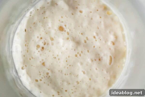 Artisan Sourdough Bread Recipe - my favorite sourdough bread recipe. This naturally leavened bread is made with high protein bread flour and stone ground whole wheat flour. High in hydration, this recipe yields an airy, tender, and open crumb bread. #sourdoughbread #recipe #breadrecipe #artisanbread #abeautifulplate Homemade Sourdough Starter