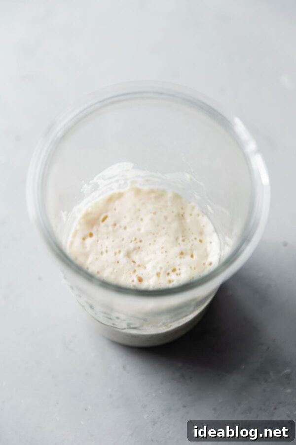 Crafting Your Perfect Sourdough Loaf 4 Mature Sourdough Starter