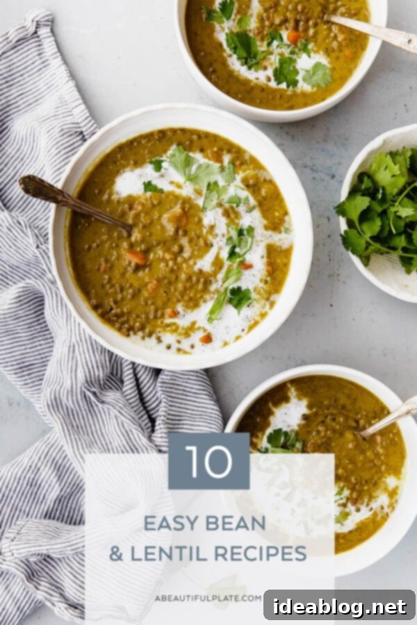 10 Easy Bean and Lentil Recipes - hearty and wholesome bean and lentil recipes that use both dried beans and lentils, as well as canned beans. #abeautifulplate #bean #legumes #lentils #recipes Curried Lentil Soup in Bowl