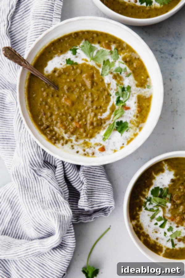 10 Effortless Bean and Lentil Meals 11 PIZZA