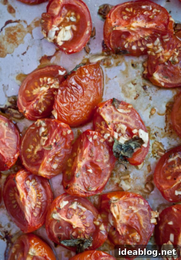 Pillowy Potato Gnocchi with Bright Roasted Tomato Basil 4 Roasted Tomatoes with Fresh Basil, ready for making sauce