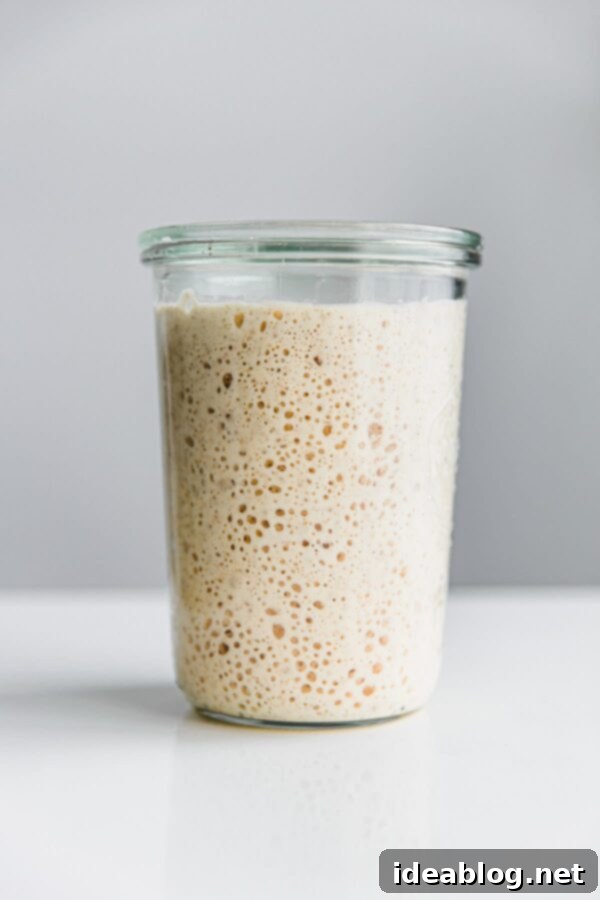 Sourdough Starter Troubleshooting Guide - creating a sourdouh starter from scratch? This Sourdough Starter Troubleshooting Guide provides answers to commonly asked questions and starter issues. Ripe and bubbly sourdough starter in a clear Weck jar, ready for baking.