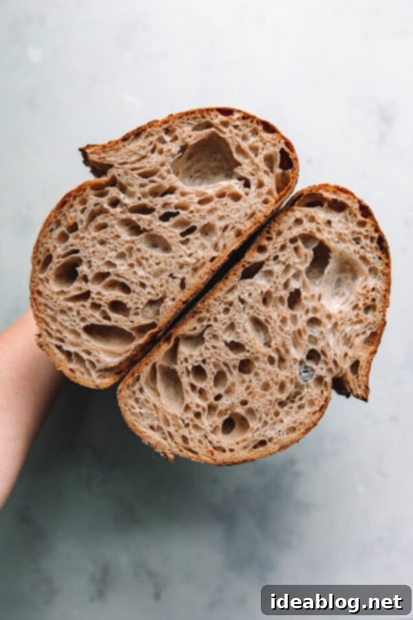 Sourdough Starter Rescue 5 A perfectly sliced open crumb sourdough loaf, revealing its airy interior texture.