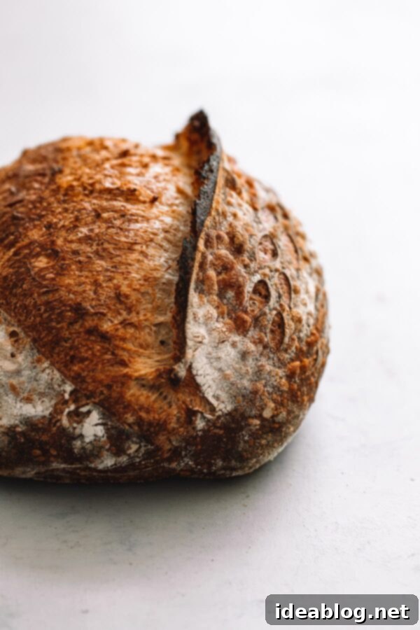 Sourdough Bread Troubleshooting Guide and FAQ - struggling with sourdough bread? This extensive guide is geared towards sourdough bread troubleshooting issues and other bread baking questions. #sourdough #bread Sourdough Loaf with Ear