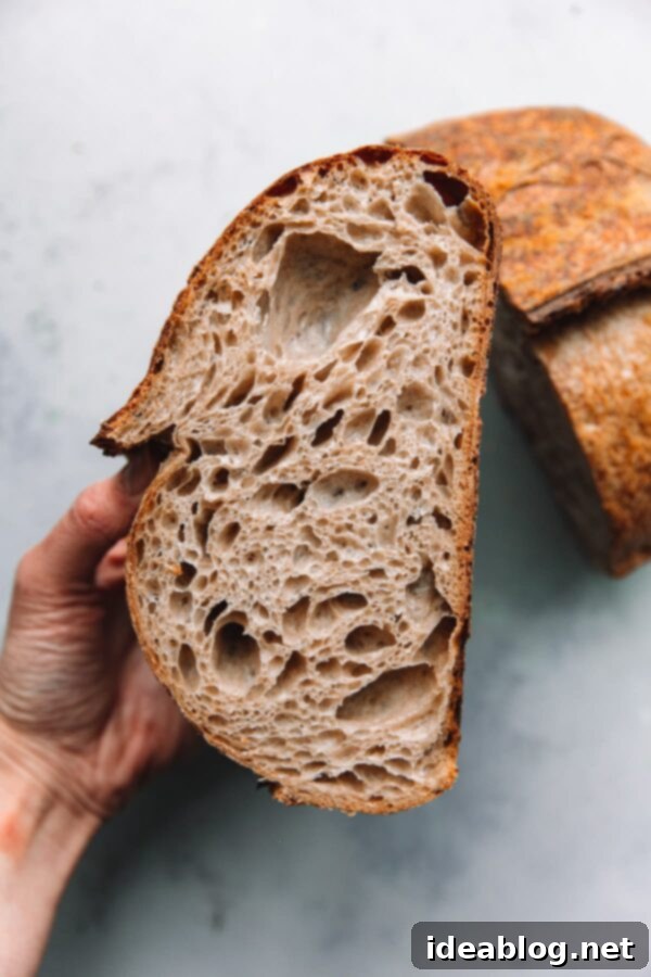 Sourdough Bread Troubleshooting Guide and FAQ - struggling with sourdough bread? This extensive guide is geared towards sourdough bread troubleshooting issues and other bread baking questions. #sourdough #bread Open Crumb Artisan Sourdough Bread