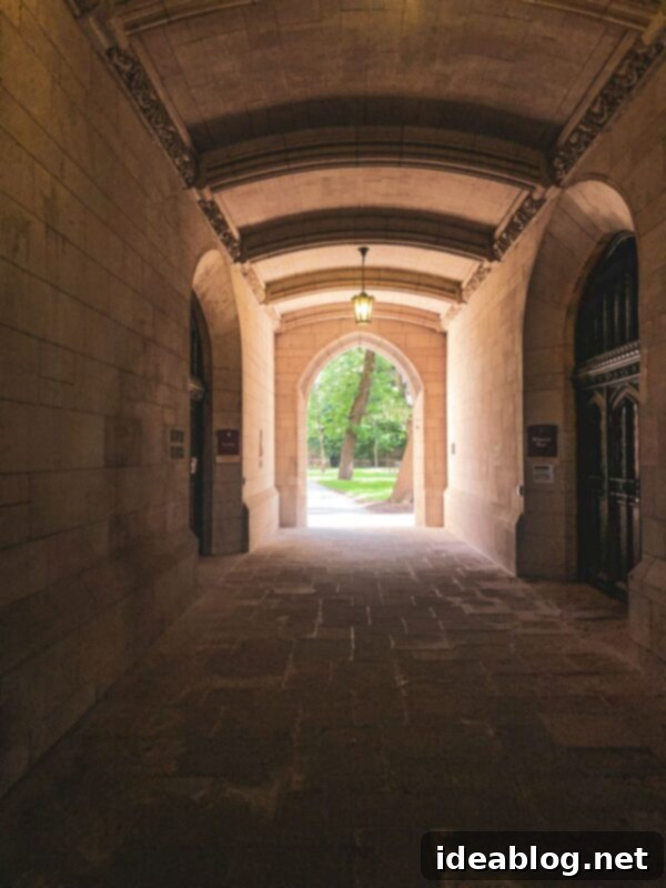 New Adventures Await 2 University of Chicago Campus View