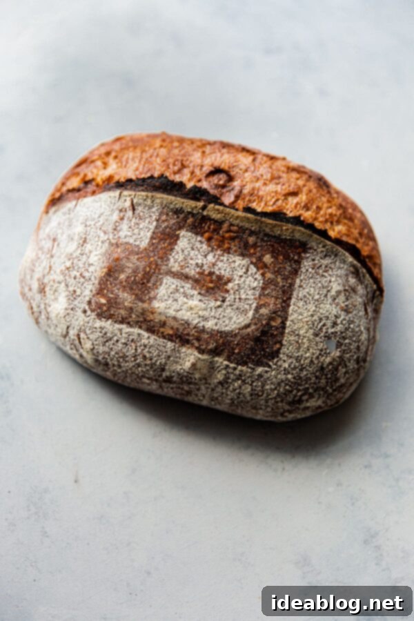 New Adventures Await 6 Freshly Baked Sourdough Bread from University of Utah