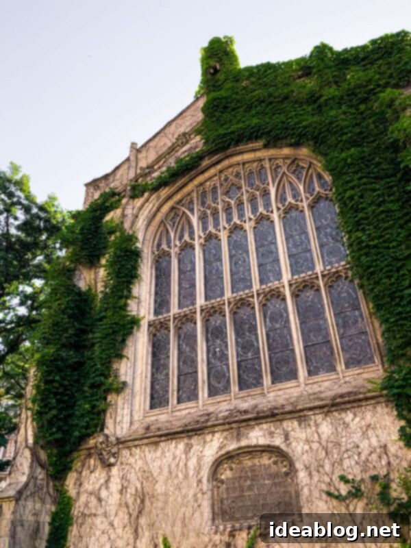 New Adventures Await 8 University of Chicago Campus Buildings