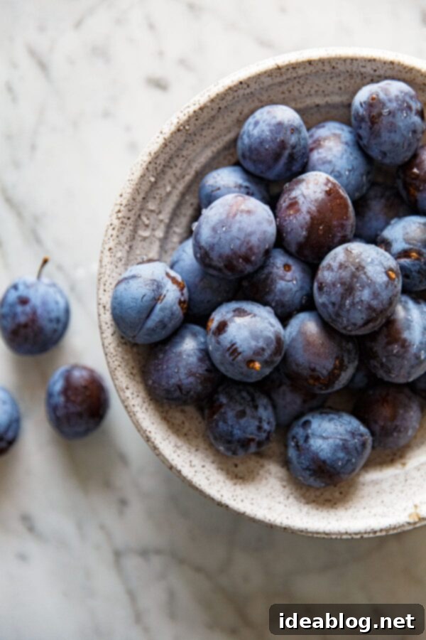 Slow-Roasted Plum Compote 3 Freshly picked Italian Plums in a Ceramic Bowl