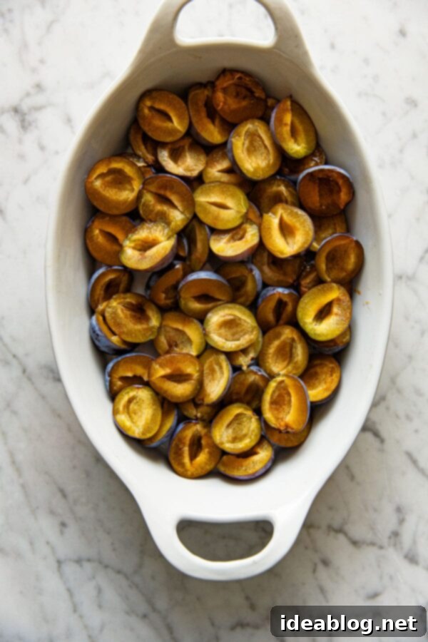 Slow-Roasted Plum Compote 4 Halved and pitted Italian Plums arranged in a baking dish, ready for roasting