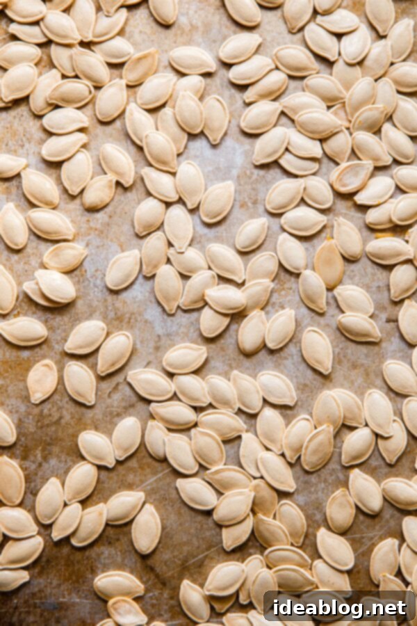 Za'atar Roasted Pumpkin Seeds - if you enjoy crunchy snacks, you'll love these easy Za'atar Roasted Pumpkin Seeds! A delicious savory twist on a classic fall staple. #abeautifulplate #pumpkinseeds #snack #fall Fresh, Clean Pumpkin Seeds on Baking Sheet, ready for seasoning.
