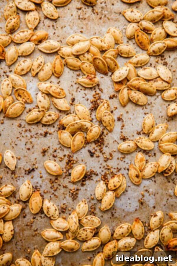 Savory Za'atar Roasted Pumpkin Seeds 3 Perfectly Roasted Pumpkin Seeds with Za'atar, golden and crispy.
