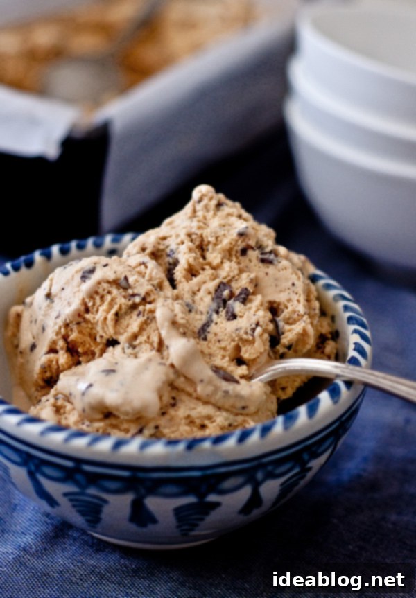 Toasted Sugar Ice Cream with Dark Chocolate Chunks 2 Rich and creamy Burnt Sugar Ice Cream with visible dark chocolate bits in a scoop