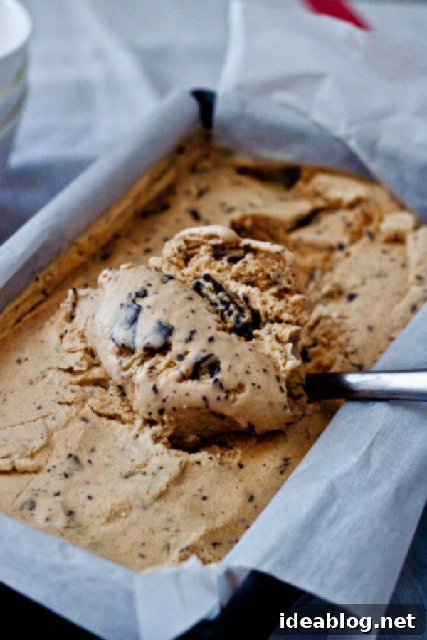 Toasted Sugar Ice Cream with Dark Chocolate Chunks 5 A scoop of homemade Burnt Sugar Ice Cream studded with dark chocolate bits