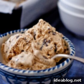 Toasted Sugar Ice Cream with Dark Chocolate Chunks 6 Burnt Sugar Ice Cream with Dark Chocolate Chunks