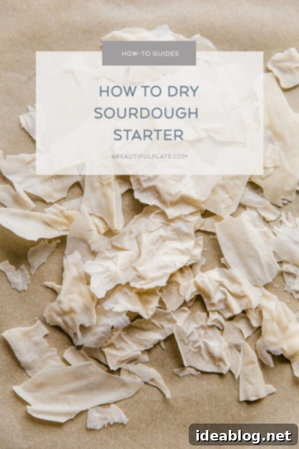Ekşi Maya Kurutma ve Saklama Yöntemleri 2 Dry Sourdough Starter Guide