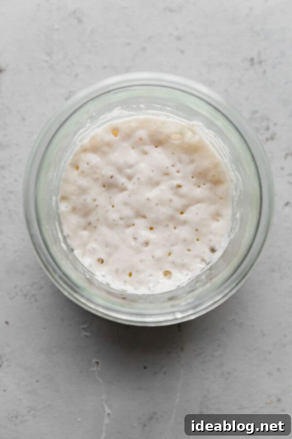Ekşi Maya Kurutma ve Saklama Yöntemleri 12 Active Sourdough Starter in Glass Jar