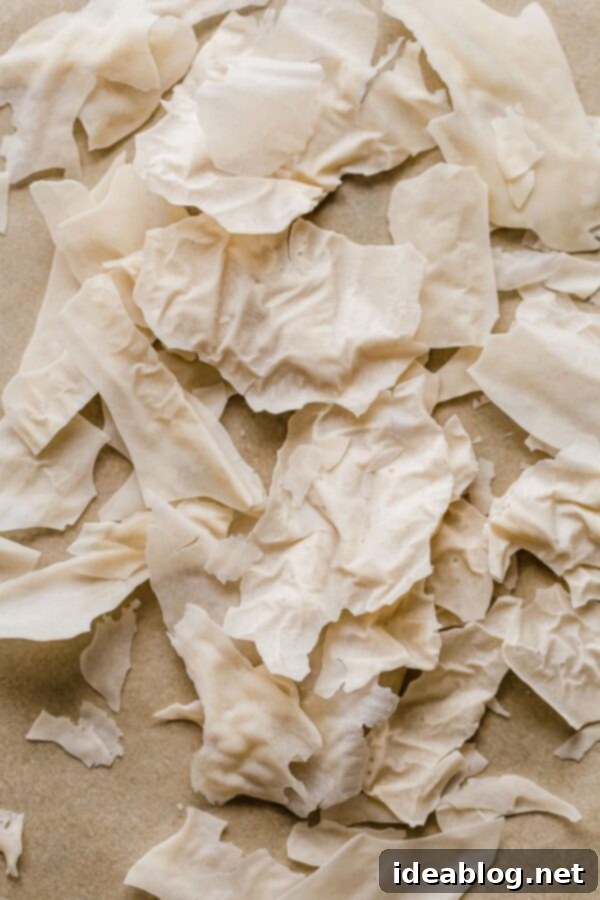 Ekşi Maya Kurutma ve Saklama Yöntemleri 3 dried sourdough starter shards