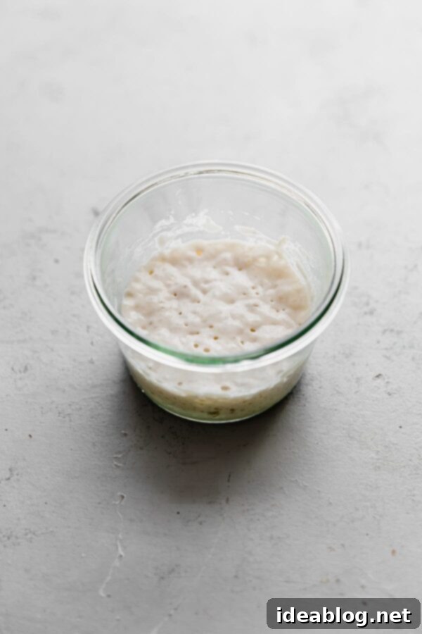 Ekşi Maya Kurutma ve Saklama Yöntemleri 5 Sourdough Starter in Glass Jar