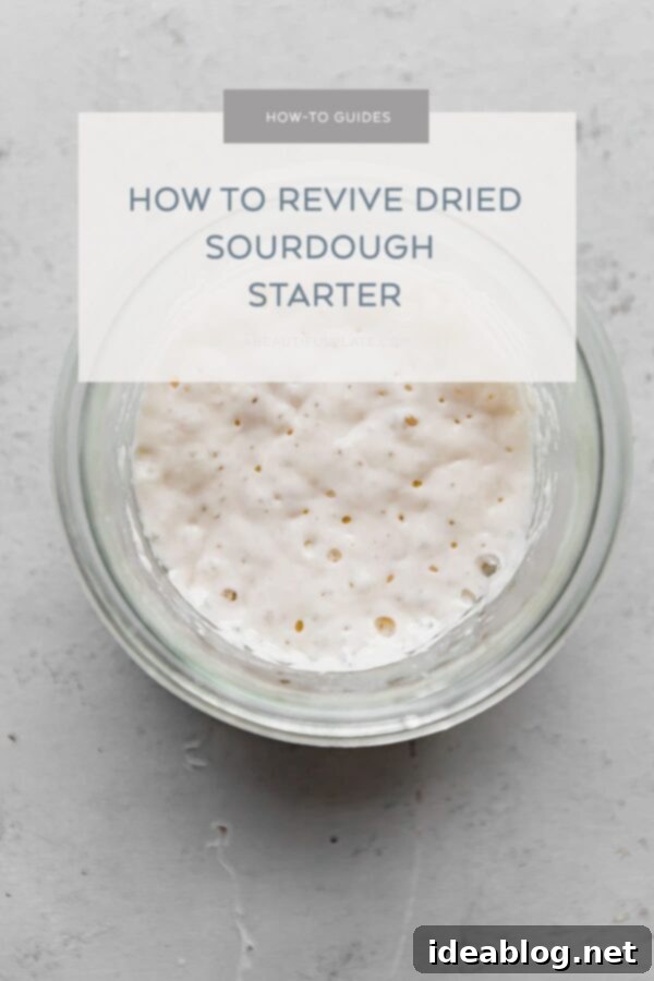 Resurrect Your Dried Sourdough Starter 2 Sourdough Starter in Jar