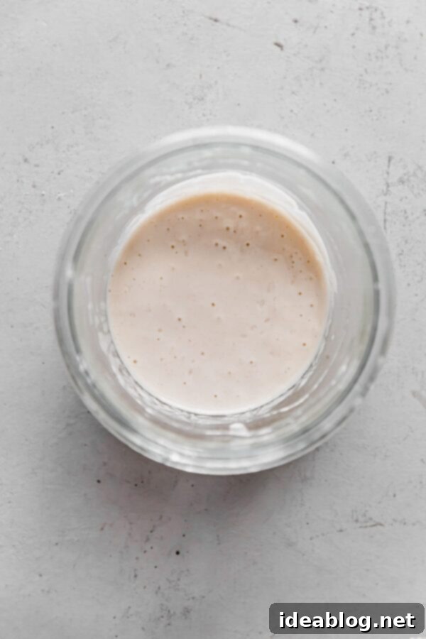 Resurrect Your Dried Sourdough Starter 12 Revived Sourdough Starter in Jar