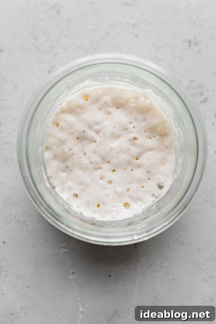 Resurrect Your Dried Sourdough Starter 15 Revived Sourdough Starter in Jar