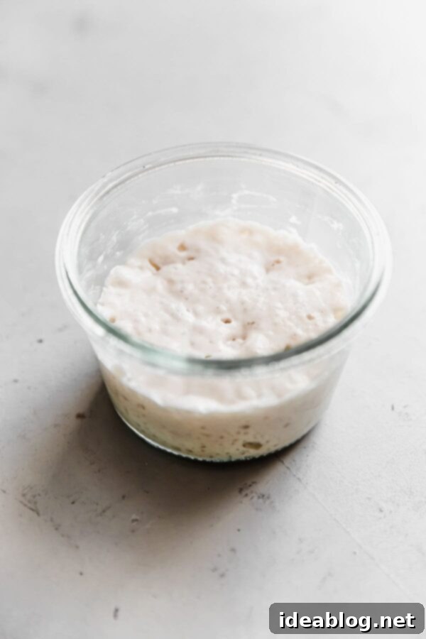 Resurrect Your Dried Sourdough Starter 16 Revived Sourdough Starter in Glass Jar