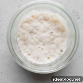 Resurrect Your Dried Sourdough Starter 18 Revived Sourdough Starter in Jar