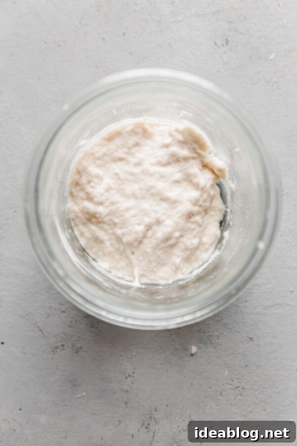 Resurrect Your Dried Sourdough Starter 7 Revived Sourdough Starter Mixture in Glass Jar
