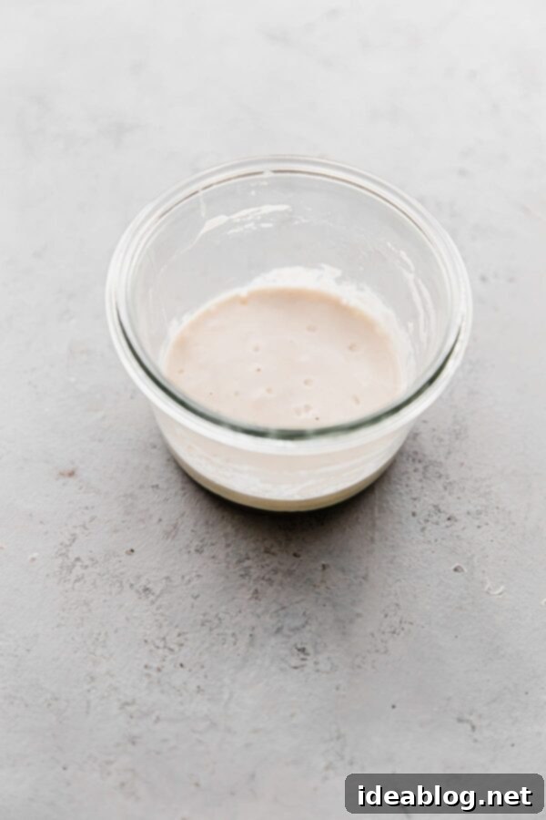 Resurrect Your Dried Sourdough Starter 8 Dehydrated Sourdough Mixture on Day Three