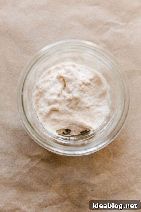 Resurrect Your Dried Sourdough Starter 9 Sourdough Starter Mixture in Glass Jar