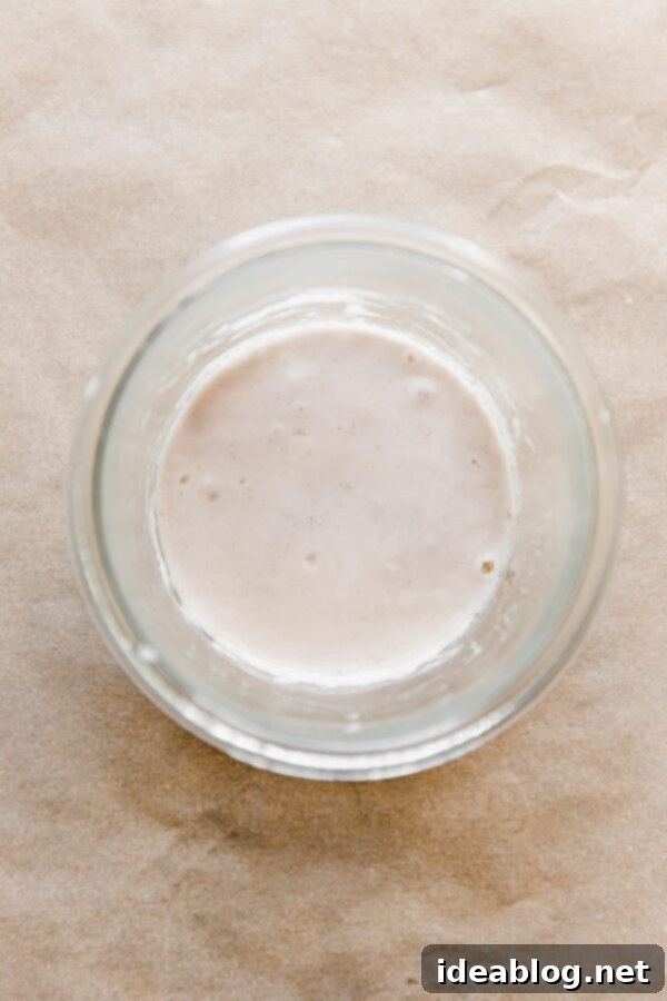 Resurrect Your Dried Sourdough Starter 10 Sourdough Starter Mixture