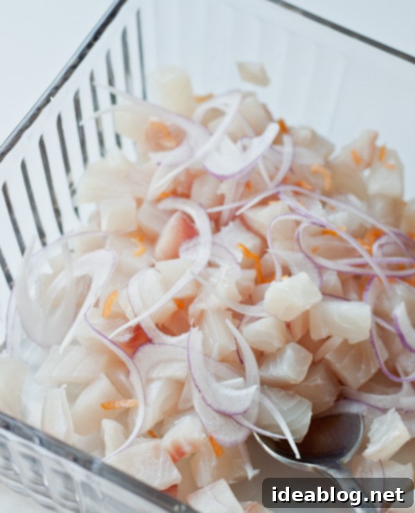 Fresh Fish Ceviche 4 How to Make Ceviche de Pescado